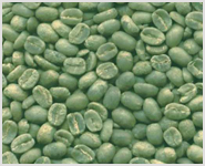 green coffee